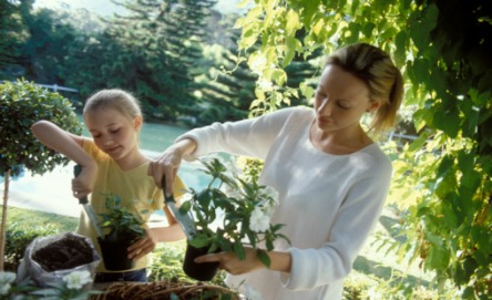 Make a hanging basket