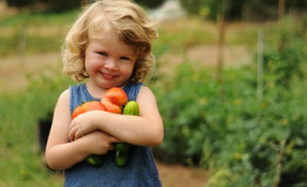 Grow a pizza garden
