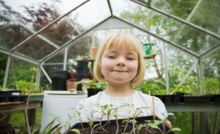 Make a self-watering pot