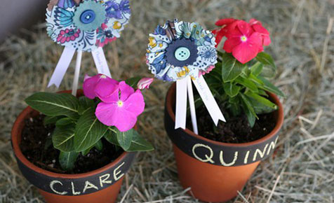 potted flowers