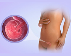 Your baby's development