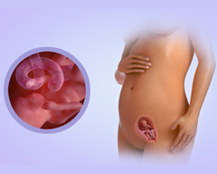 Your baby's progress - Week 16