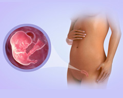 Baby's progress - week 10