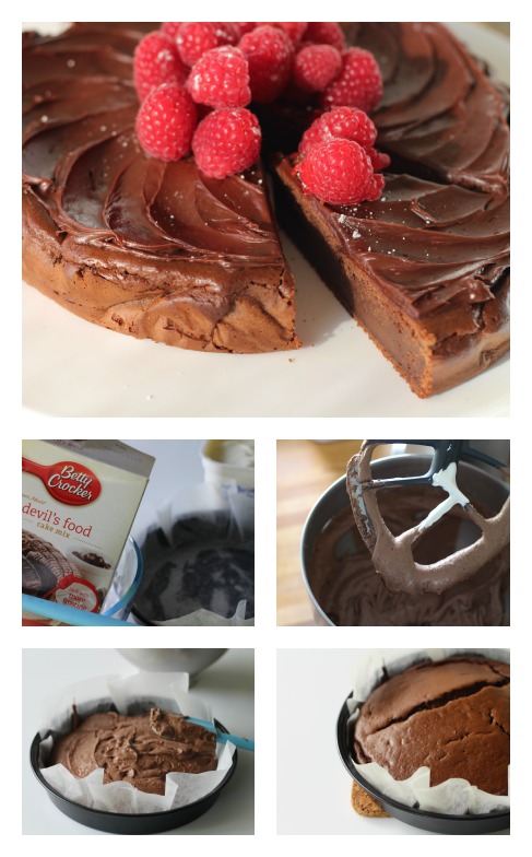 2 ingredient low-fat chocolate cake