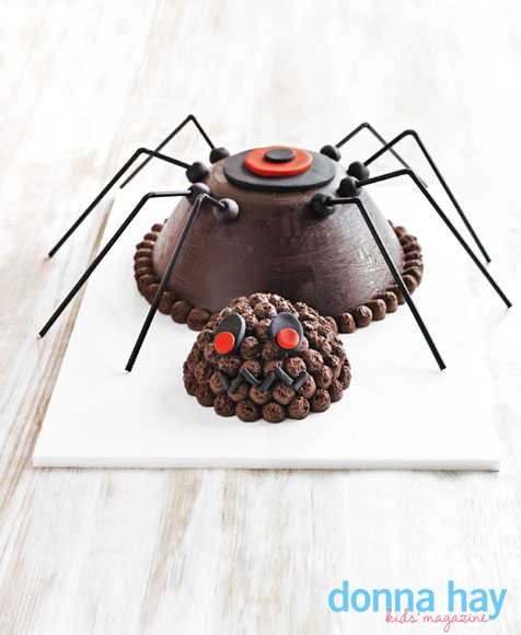 Spider smash cake