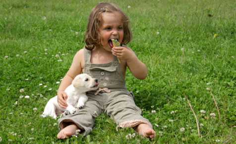 How to get kids to look after their pets