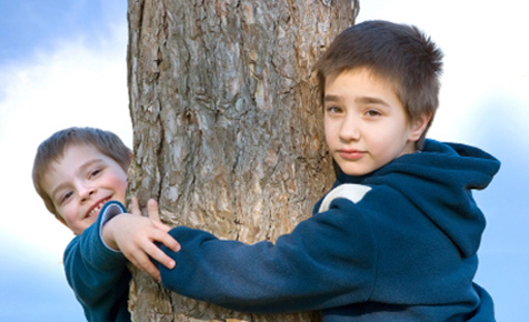 Tree sap