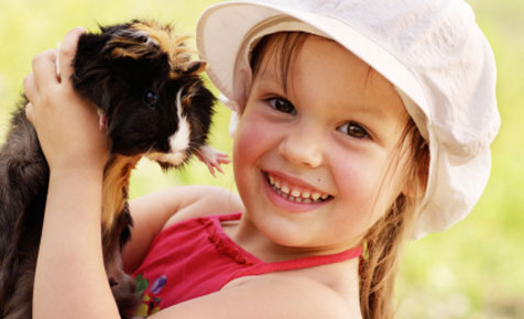 6 Top family pets
