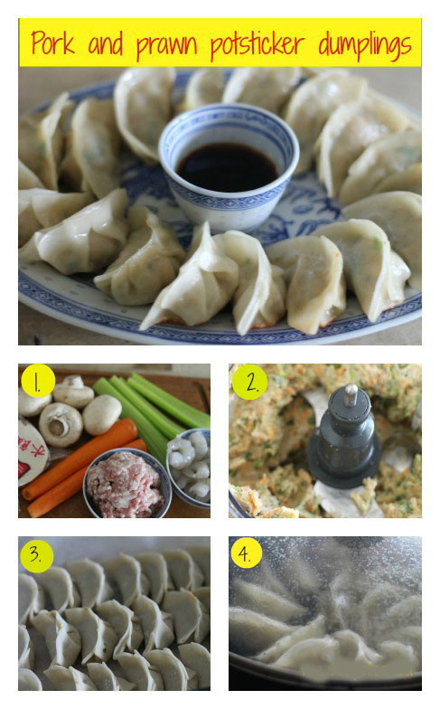 Pork and prawn potsticker dumplings