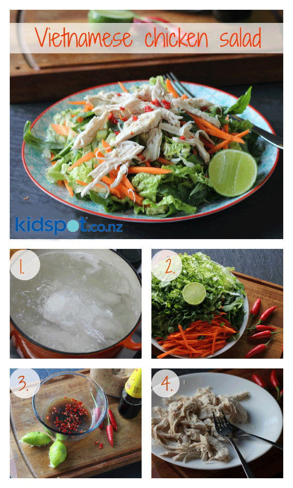 Vietnamese chicken salad