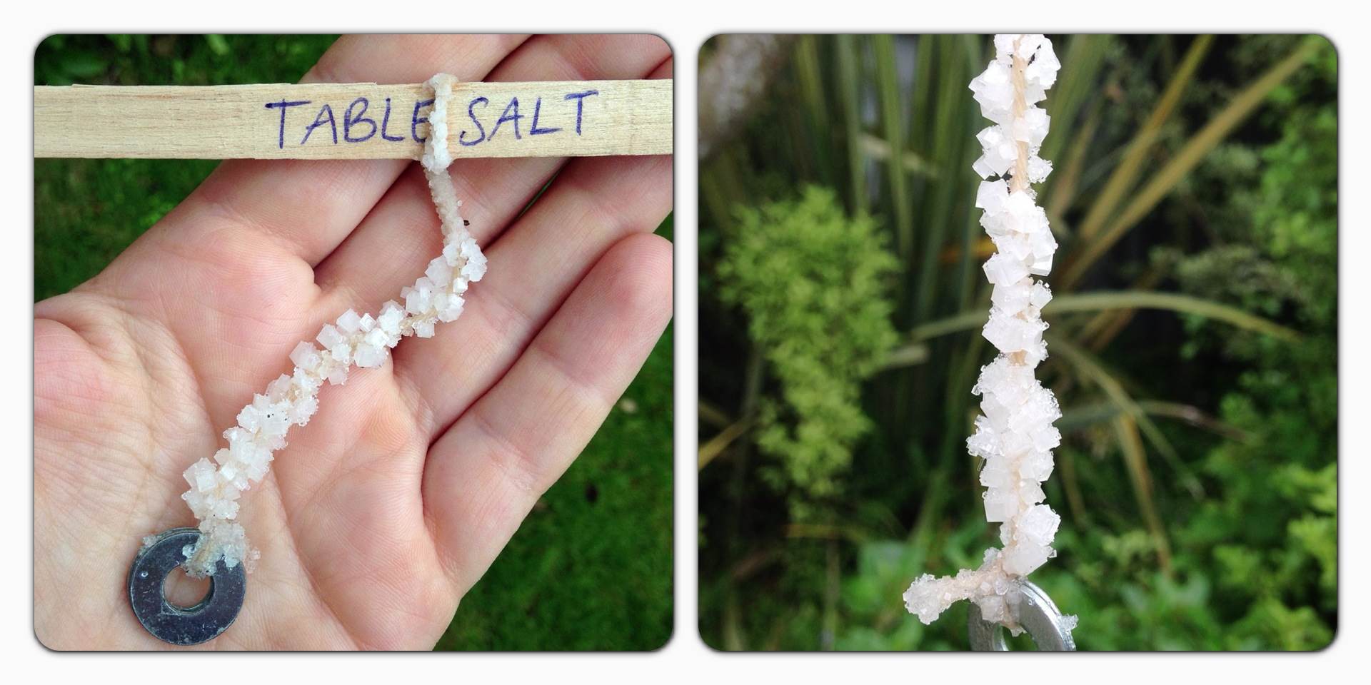 sea salt crystals how to grow