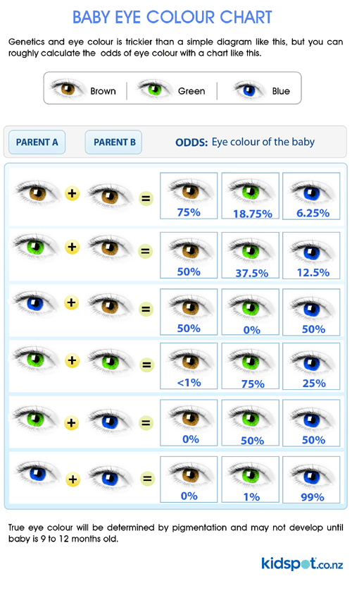 Dominant And Recessive Genes Eye Color Chart