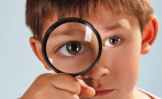 Spatial and numeracy